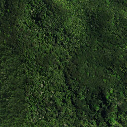 Satellite imagery of Te Kia Pa, NZ