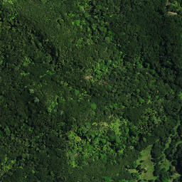 Satellite imagery of Te Kia Pa, NZ