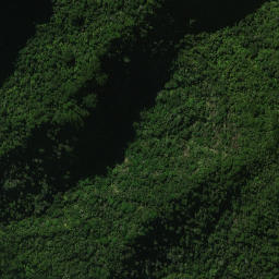 Satellite imagery of OROWHANO NO 2, NZ
