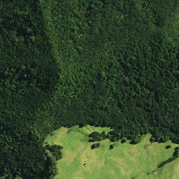 Satellite imagery of P PAUTOUTO, NZ