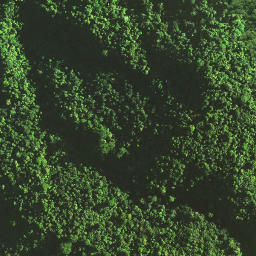Satellite imagery of Pukatea Ridge, NZ