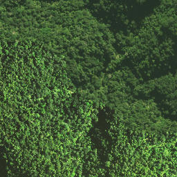 Satellite imagery of Pukatea Ridge, NZ