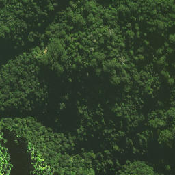 Satellite imagery of Pukatea Ridge, NZ
