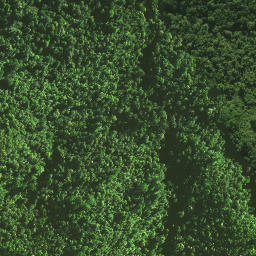 Satellite imagery of 1171, NZ