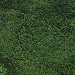 Satellite imagery of 1171, NZ