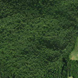 Satellite imagery of 1171, NZ