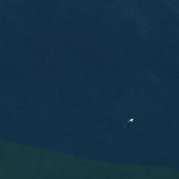Satellite imagery of Tapeka Point, NZ