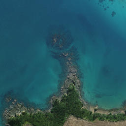 Satellite imagery of Whau Point, NZ