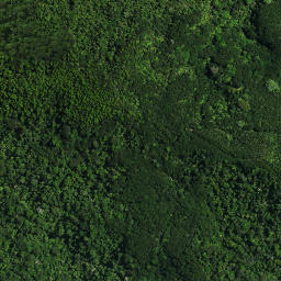 Satellite imagery of Te Kia Pa, NZ