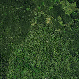 Satellite imagery of Te Kia Pa, NZ
