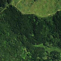 Satellite imagery of Te Kia Pa, NZ