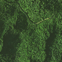 Satellite imagery of 1171, NZ