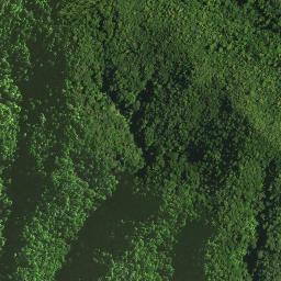 Satellite imagery of 1171, NZ