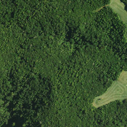Satellite imagery of 1171, NZ