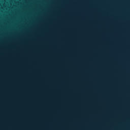 Satellite imagery of Captain Cook's Anchorage, NZ
