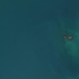 Satellite imagery of Wairiki Point, NZ