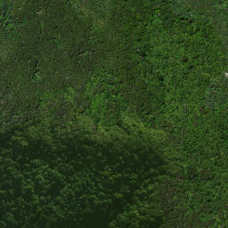 Satellite imagery of 25 PUKEHUIA, NZ
