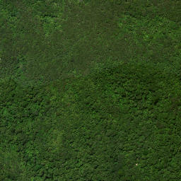 Satellite imagery of 25 PUKEHUIA, NZ