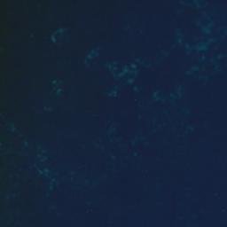 Satellite imagery of Penguin Point, AU