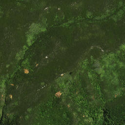 Satellite imagery of 40 NO 3, NZ