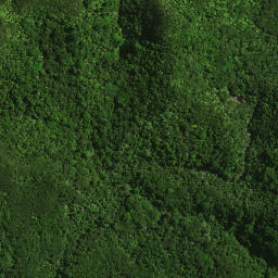 Satellite imagery of 40 NO 3, NZ