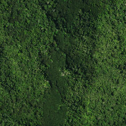 Satellite imagery of Te Kia Pa, NZ