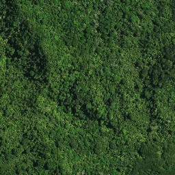 Satellite imagery of Te Kia Pa, NZ