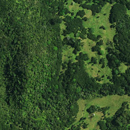 Satellite imagery of Te Kia Pa, NZ