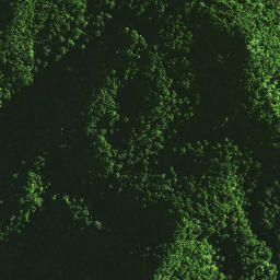 Satellite imagery of 1071, NZ