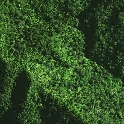 Satellite imagery of 1071, NZ