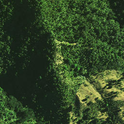 Satellite imagery of 1071, NZ