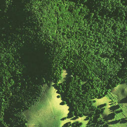 Satellite imagery of 1171, NZ