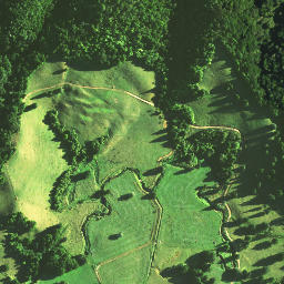 Satellite imagery of 1171, NZ