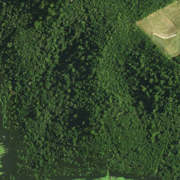 Satellite imagery of 1171, NZ