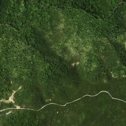 Satellite imagery of 40 NO 3, NZ