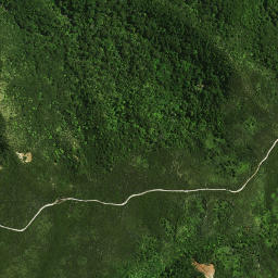 Satellite imagery of 40 NO 3, NZ