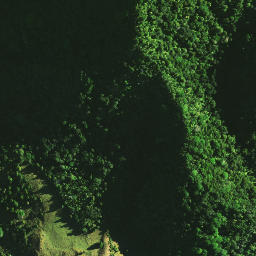 Satellite imagery of 1071, NZ