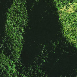 Satellite imagery of 1071, NZ