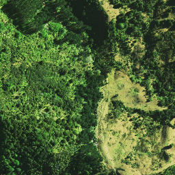 Satellite imagery of 1071, NZ