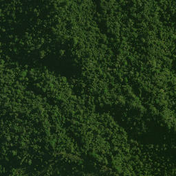Satellite imagery of KAUAEPEPE NO 2, NZ