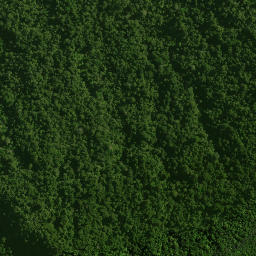 Satellite imagery of KAUAEPEPE NO 2, NZ