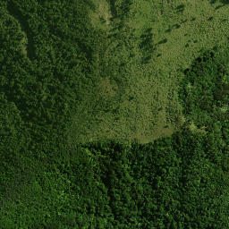 Satellite imagery of KAUAEPEPE NO 2, NZ