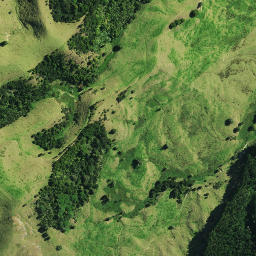 Satellite imagery of MANGAMUKA, NZ