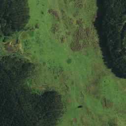 Satellite imagery of TE PUKE, NZ