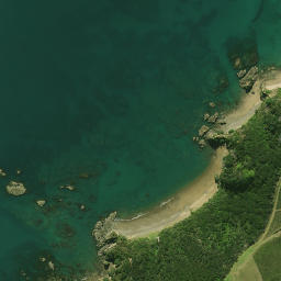 Satellite imagery of Fraser Rock, NZ