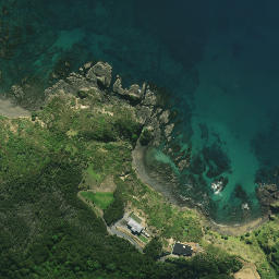 Satellite imagery of Fraser Rock, NZ