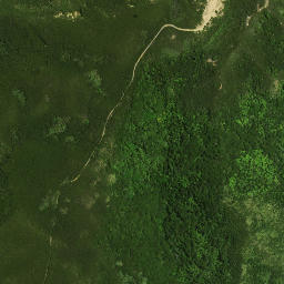 Satellite imagery of 40 NO 3, NZ