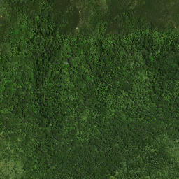Satellite imagery of 40 NO 3, NZ