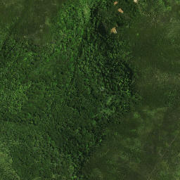 Satellite imagery of 40 NO 3, NZ