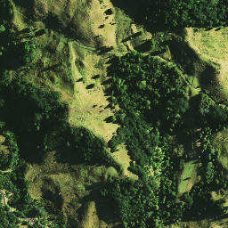 Satellite imagery of 1071, NZ